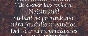 stebek