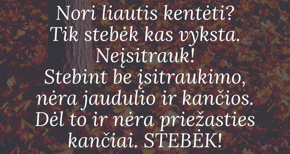 stebek