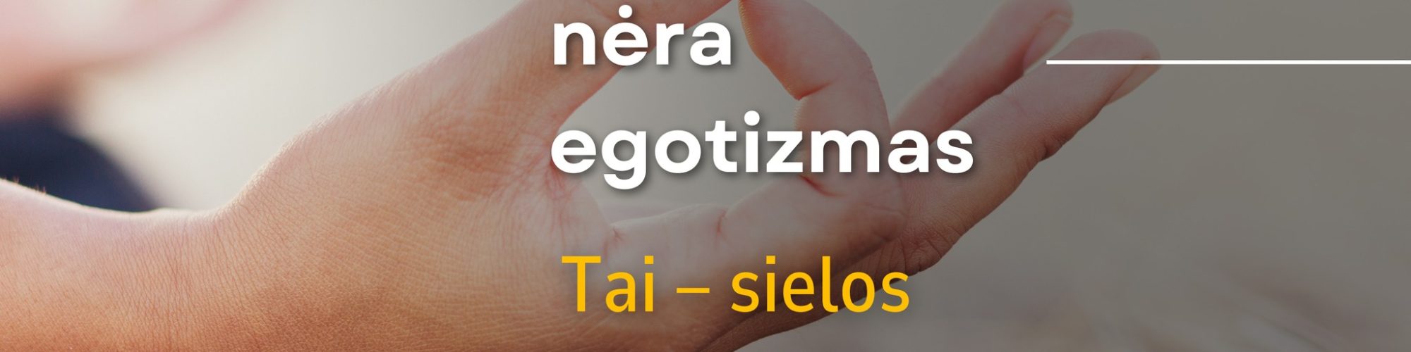 nustatyti ribas